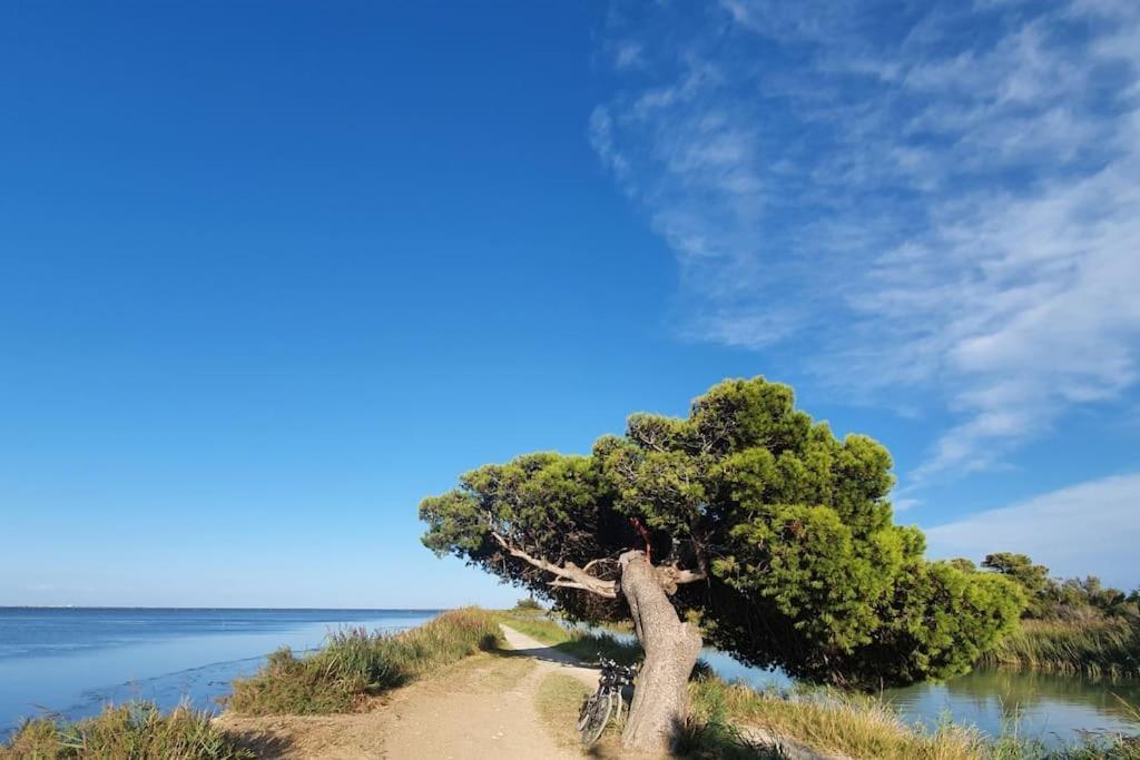 T2 Cosy A La Plage, Terrasse Vue Sur Mer Et Parking Privatif Narbonne Exteriér fotografie